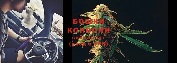 индика Зерноград