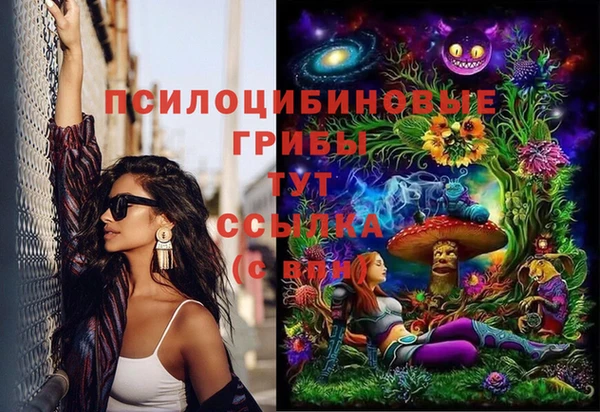 PSILOCYBIN Зеленокумск