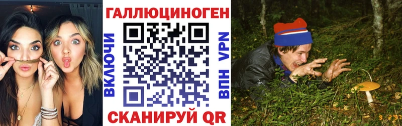 Купить  Дзержинск  Псилоцибиновые грибы Magic Shrooms 